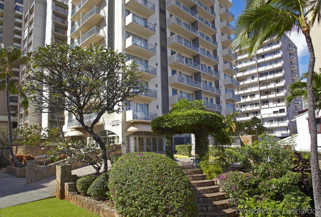 Coconut Waikiki 3*